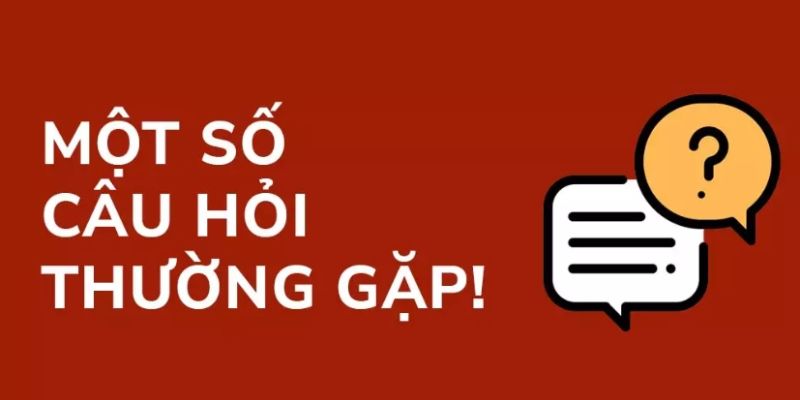 vf555-cau-hoi-thuong-gap